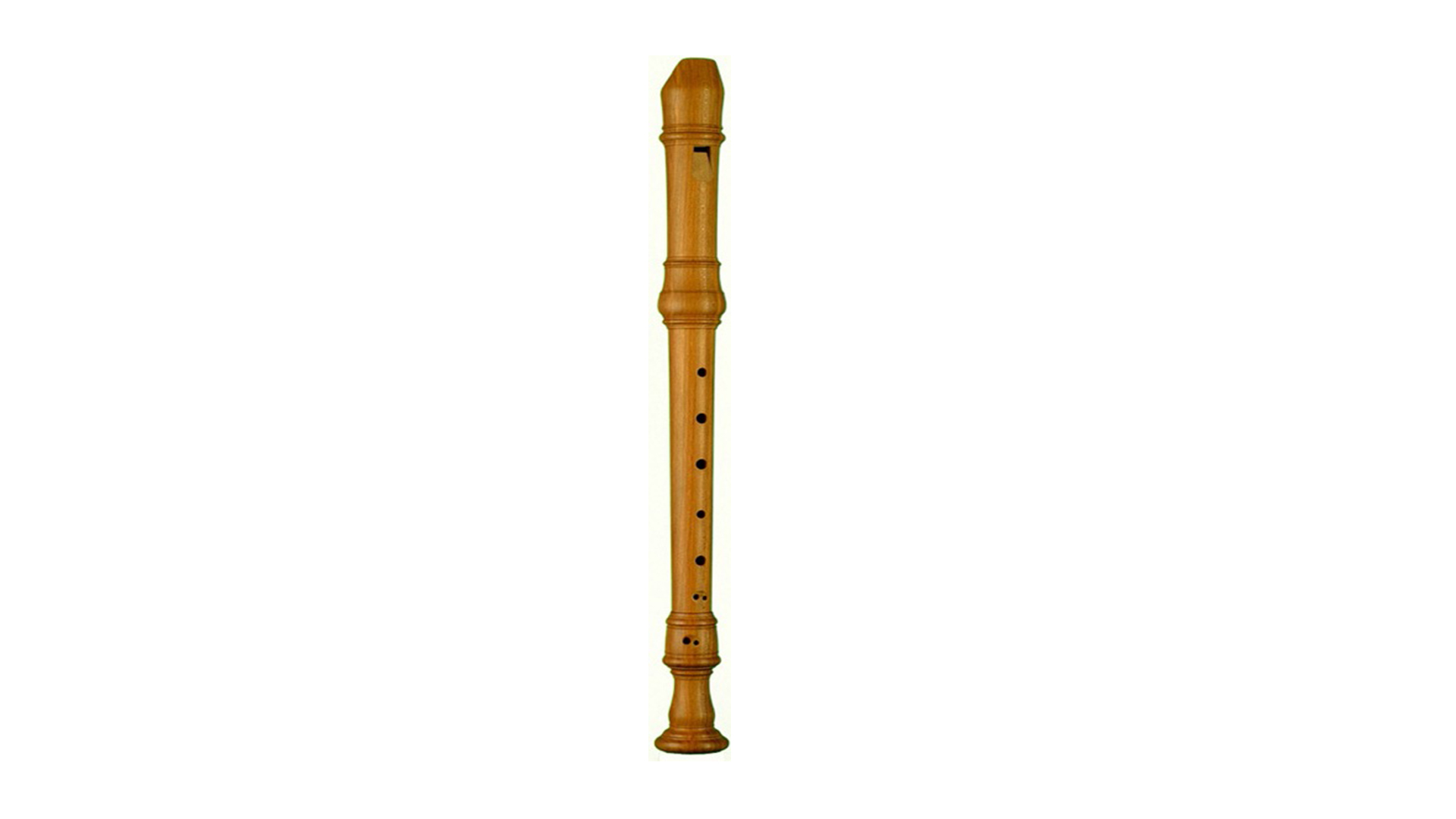 German Fingering Youngchang YAR-330G Student Alto Recorder With Cleaning Rod Case Bag 